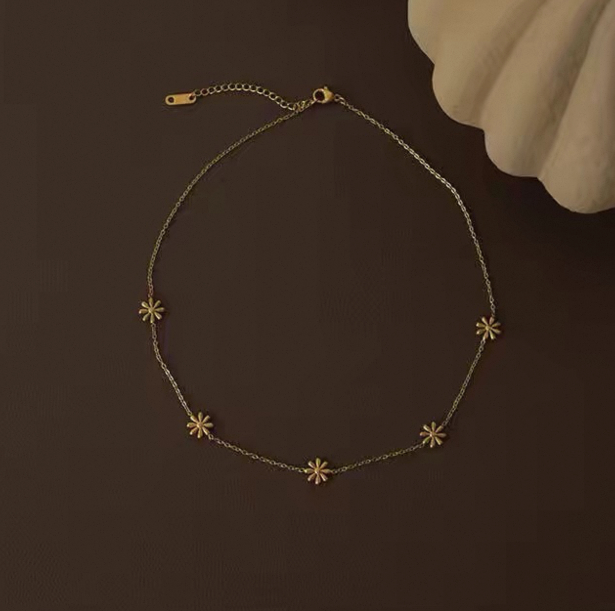 image_DB0A23F8-F591-4563-ABA7-E4F8D0EB73AE_1756275029