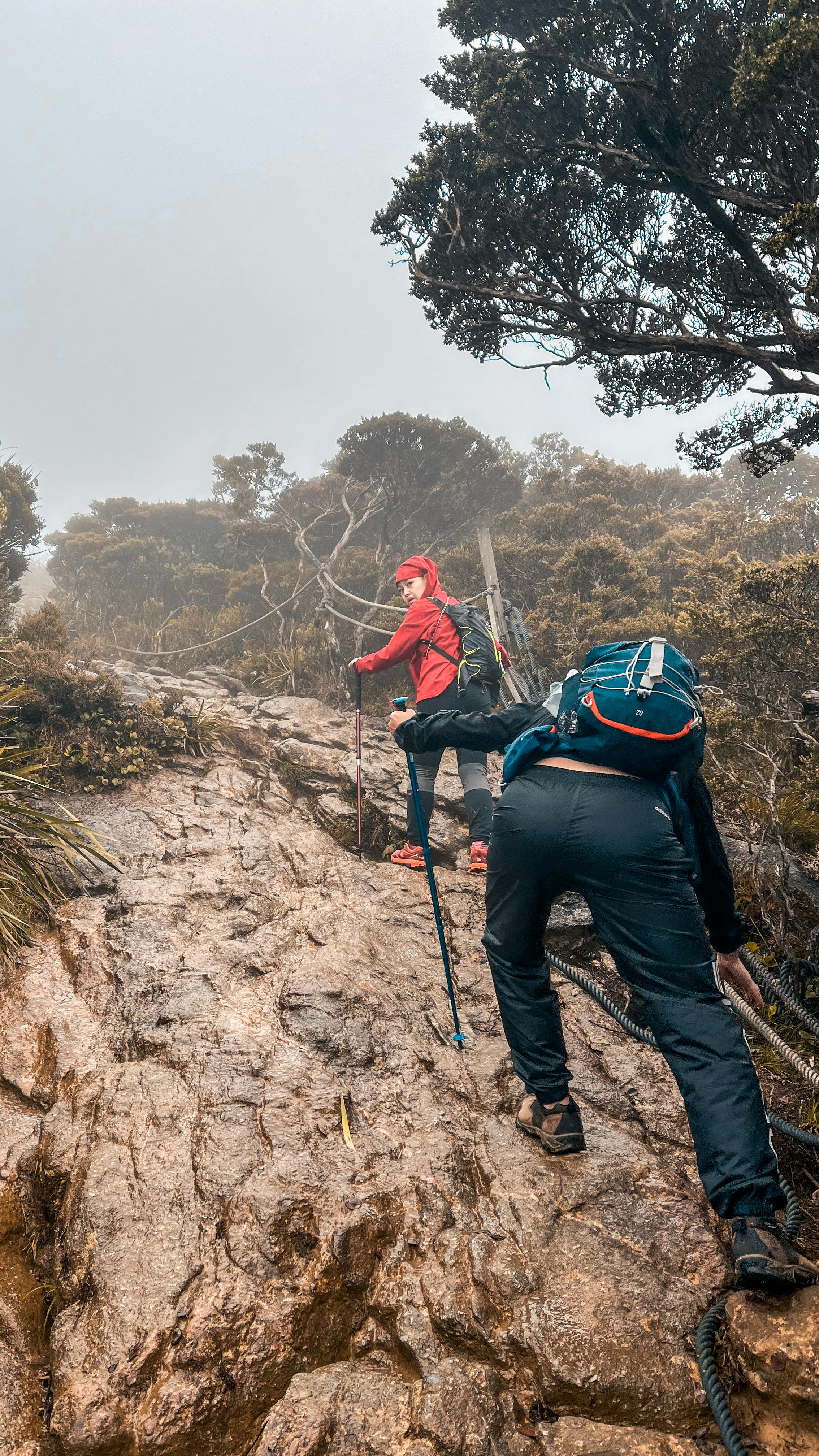 pexels-declan-see-yan-shan-1386995-14617451