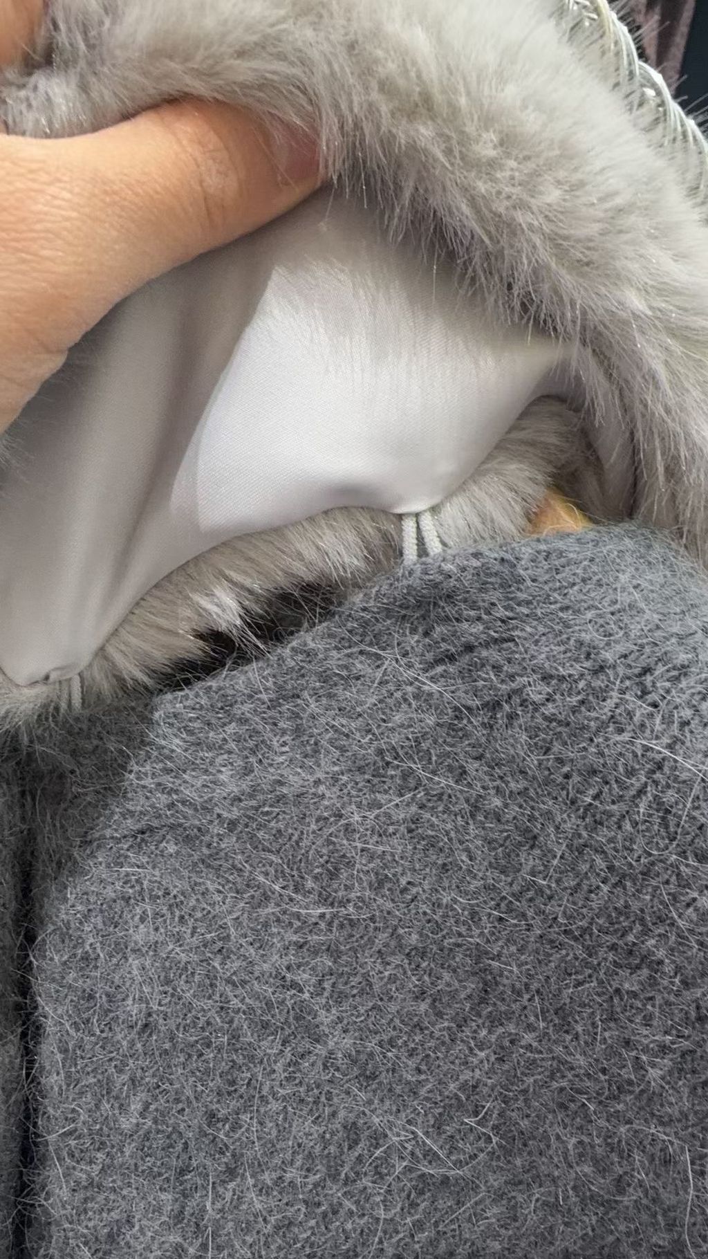 image_58E20079-9E26-41A3-A6FB-97BBD5EEA24B_1763449058