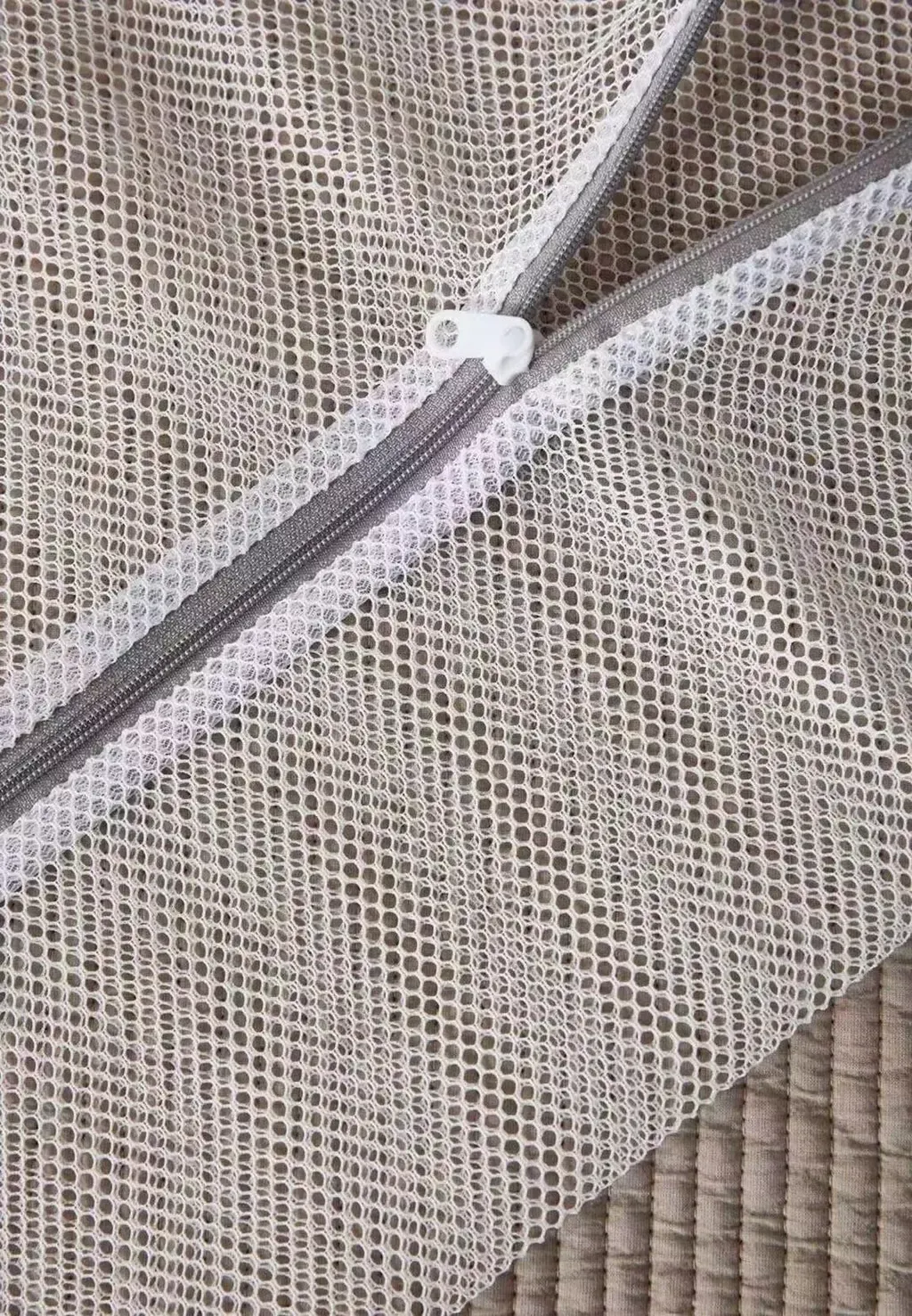 image_FEAD1A5B-2AFA-4692-8815-200D875754B0_1763996462