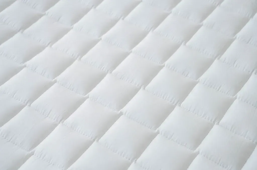 image_D9CF1052-8925-4B4B-85AD-5602A0FD4B75_1763997498