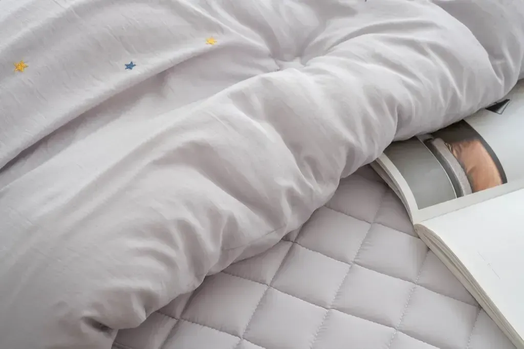 image_2338F66B-F5ED-4F4E-8BFC-559BCCDDA47D_1763997498