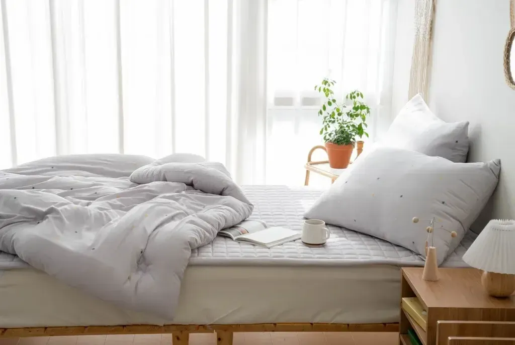 image_95C70835-3298-43ED-983B-5F6FEA76FD22_1763997498