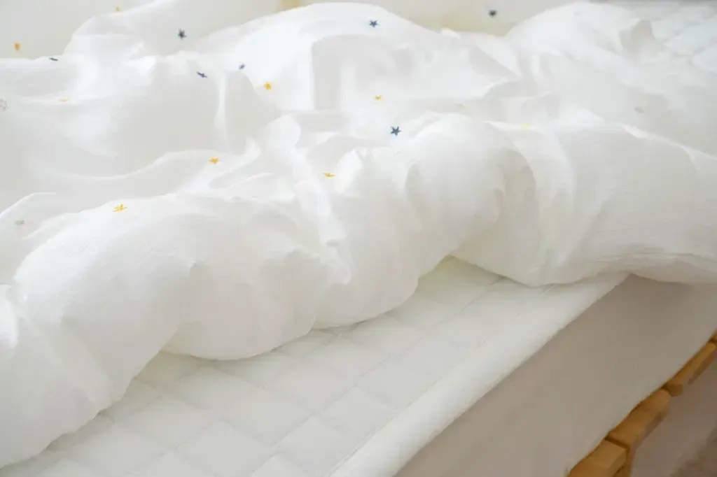 image_F3C90E22-D11B-44AC-AC2F-317649F71771_1763997498