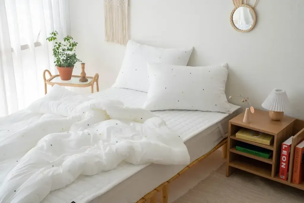 image_CFD7240D-5FFA-456C-BB1D-80871088AAFF_1763997498