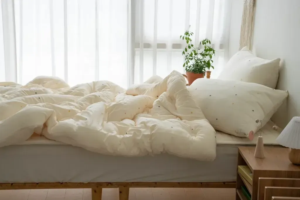 image_0B41F20B-CF21-4E2A-8BAF-2BC4F37FA602_1763997498