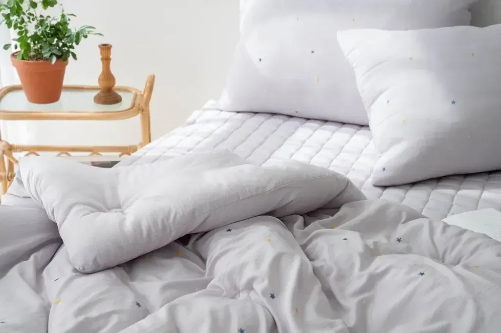 image_BD8A0964-979A-406D-B356-7CA9E6A19A20_1763997498