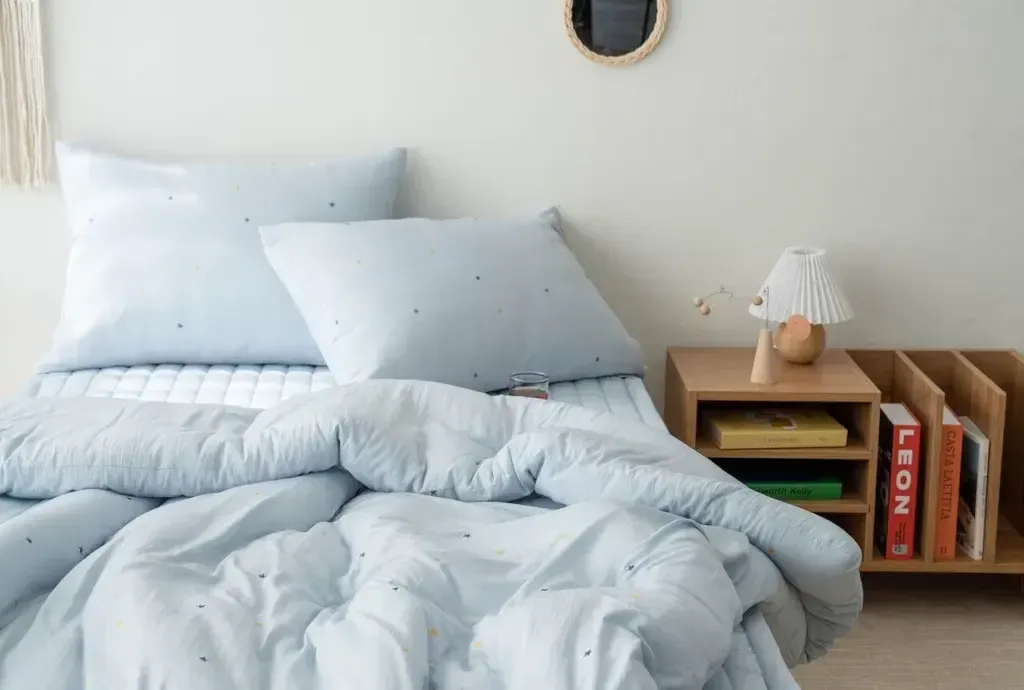 image_05665CED-31DA-4439-9E0A-44AEF746D8B1_1763997498