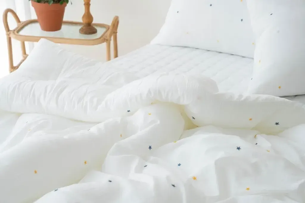 image_62920635-7392-4EBB-B9C4-A1643D0BDACE_1763997498