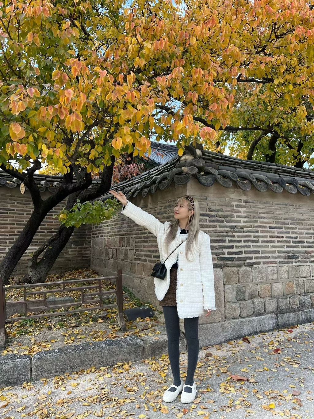 image_3DB2CC65-9430-4114-9AEE-3B786A8D1038_1764843674