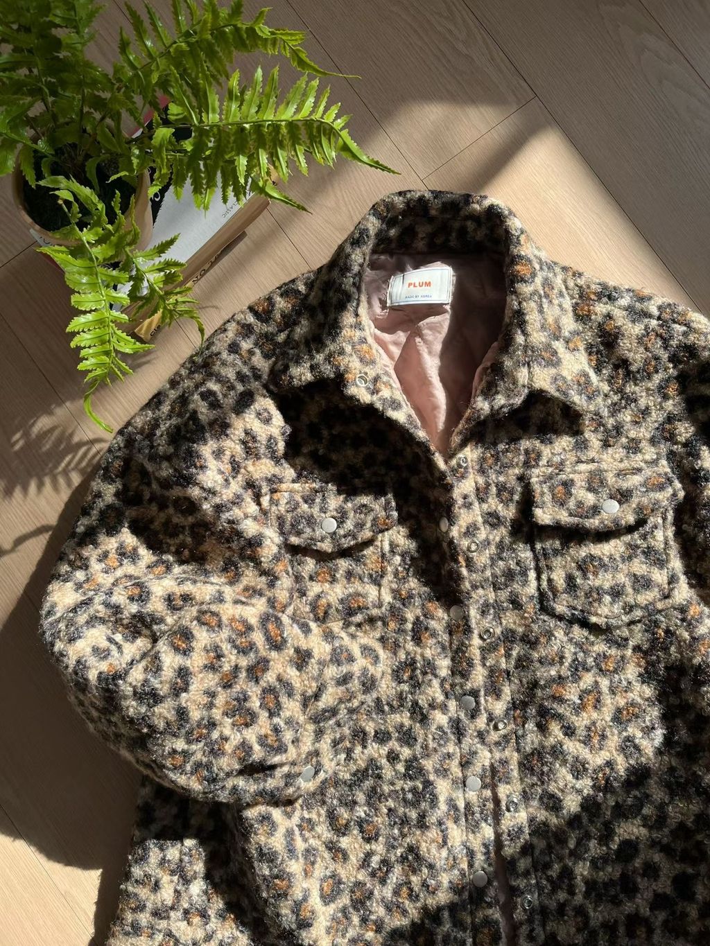 image_D8463657-2429-445F-A04C-7DB57EA91189_1764858263