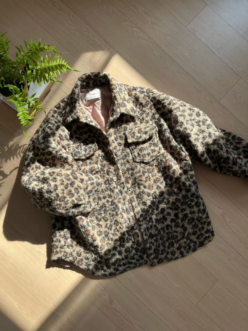 image_B2BA2C6C-CD0E-4384-AB57-AA426E2D3A92_1764858263