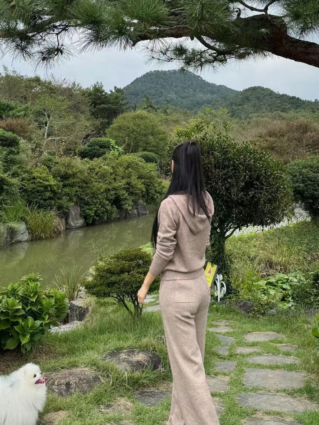 image_5CE99F07-5E37-4BBE-9ECC-94556DE0BDA2_1766329014