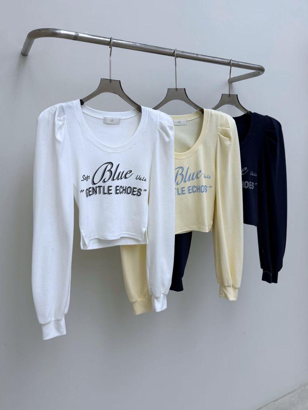 image_9F06A61B-B9ED-4FAE-B870-4FBF791199BD_1767501256