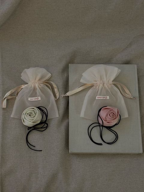 image_6B5D113C-1AE7-4FBC-B882-9C239DC4E816_1768493219