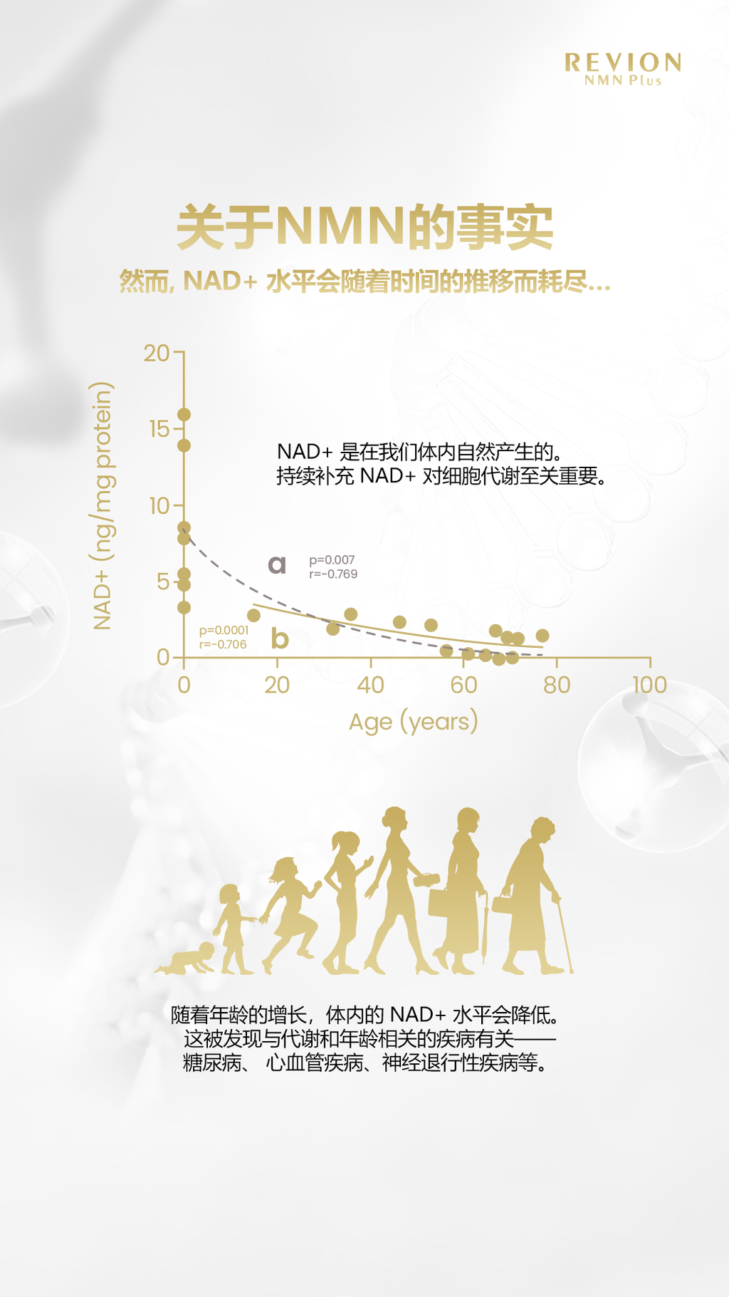 image_89C940F0-602E-45F7-888E-6AC37CC16D48_1755059824