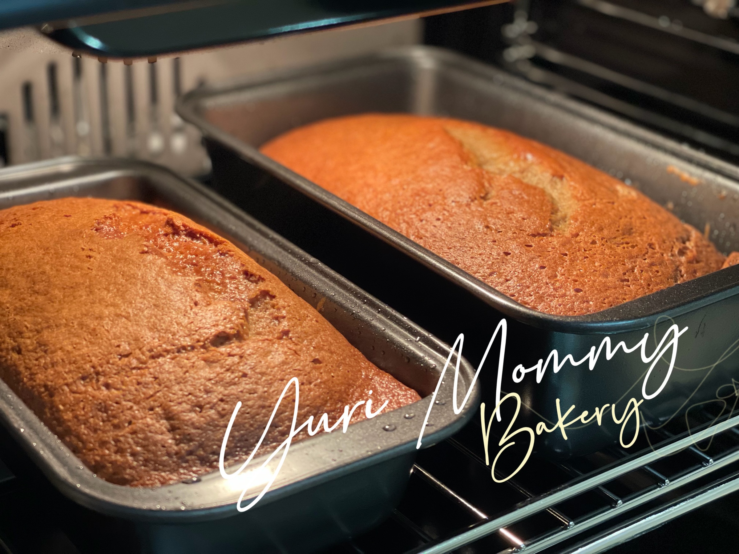 image_0412F7D3-D6F5-43B7-A6C4-4668CB40ABC5_1777089187