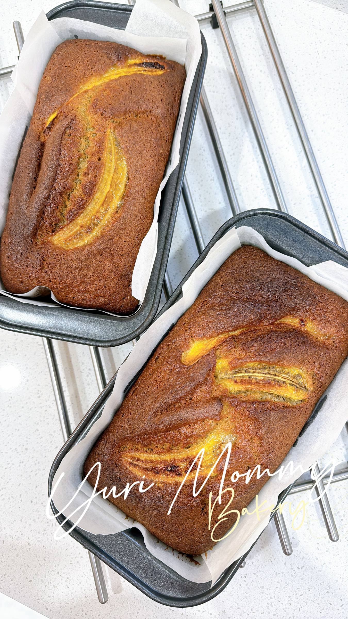 image_BDDB4D85-6710-4049-89E1-0E92BCFC8797_1777089188