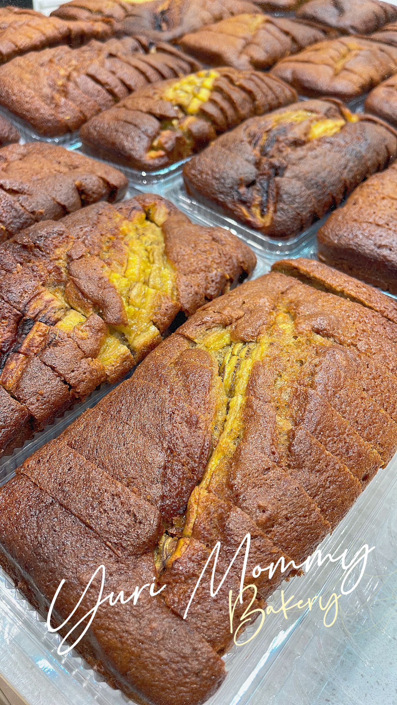 image_6BFC901D-CE7B-4EAE-BCC9-DDAC4B4E9FE0_1777089188