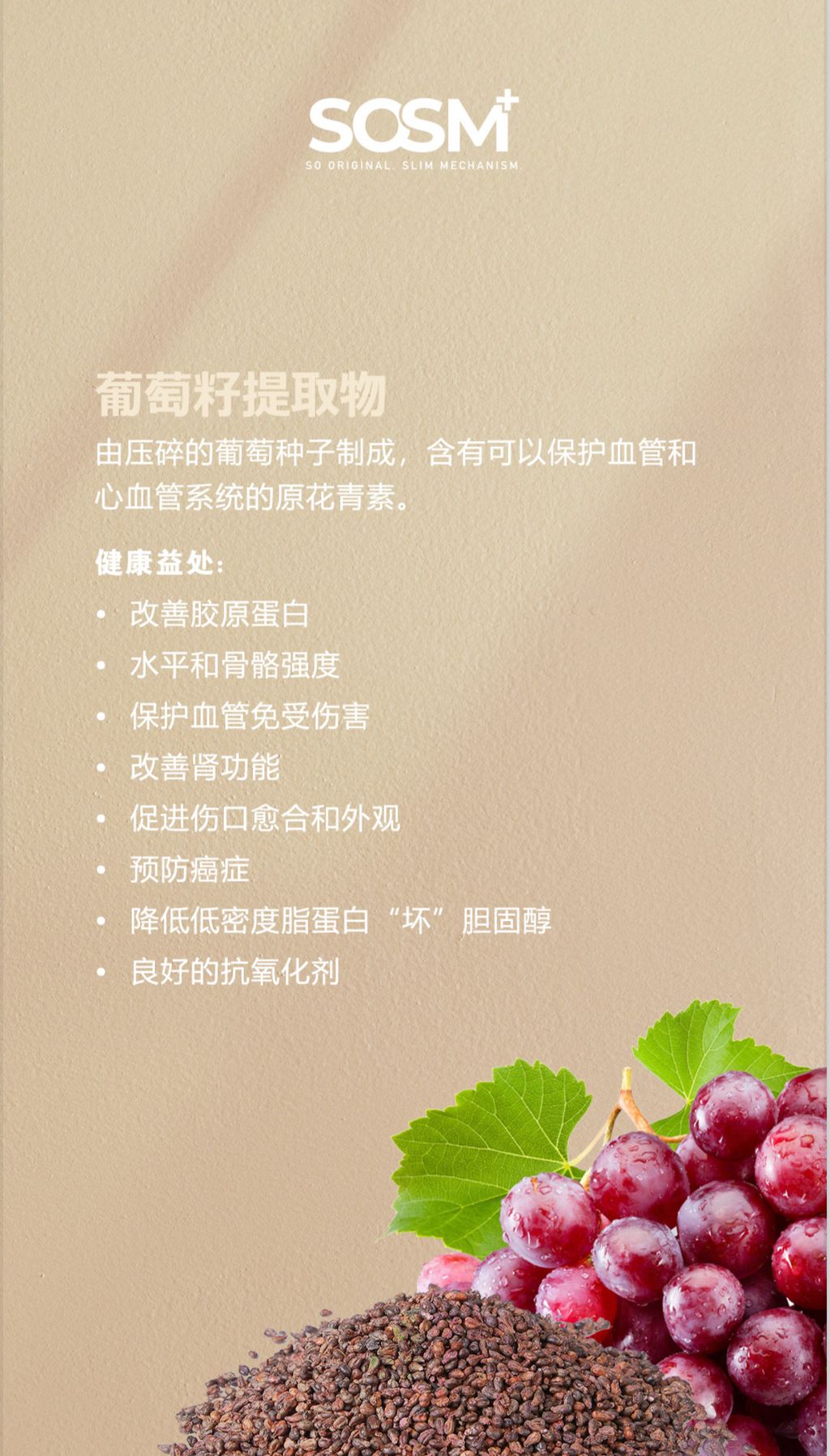 IMG_7978-1739331111135