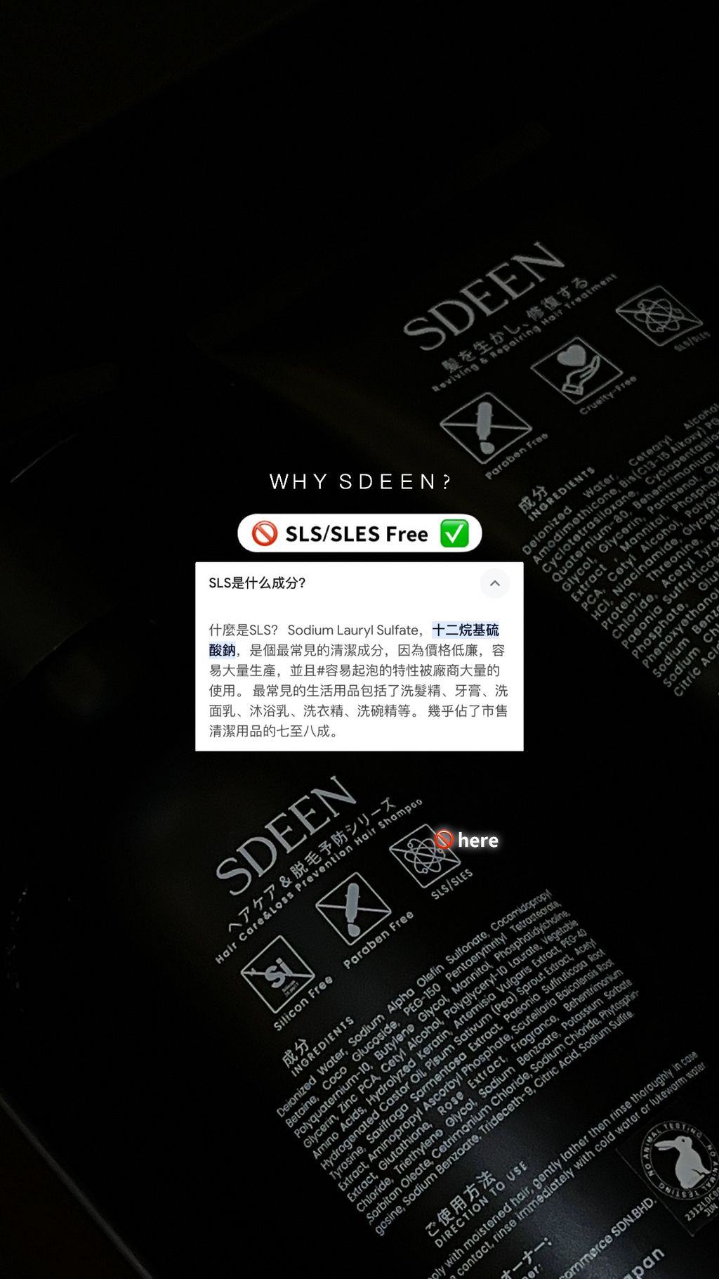 IMG_7953-1739505962623