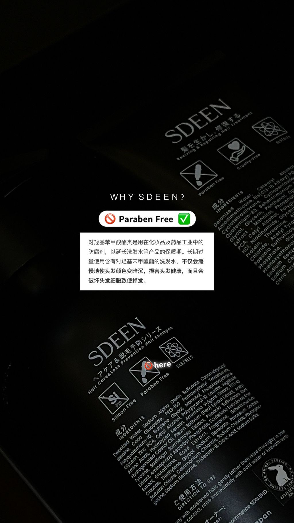 IMG_7951-1739505962616