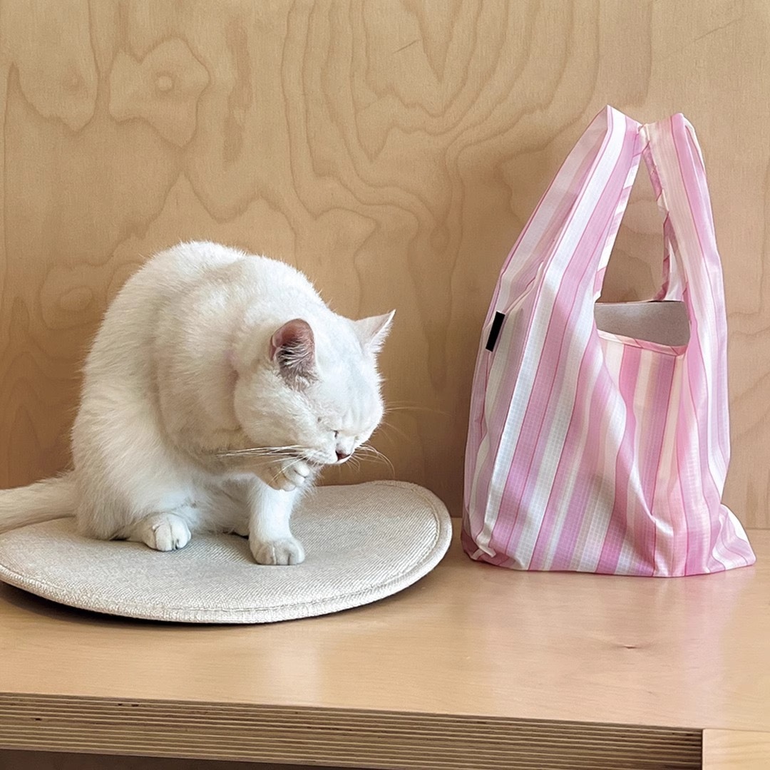 image_5EDBCA3A-F503-490C-9703-1FD603AD8137_1755605570