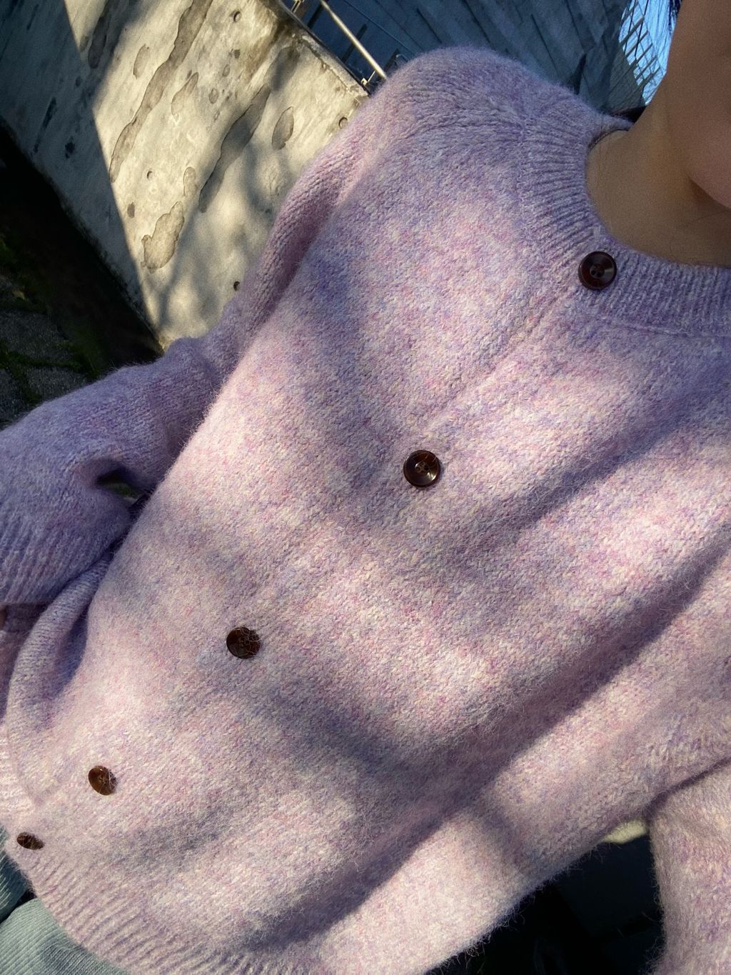 image_A23A91C2-D320-40BD-A81C-06E1851905B2_1765288595