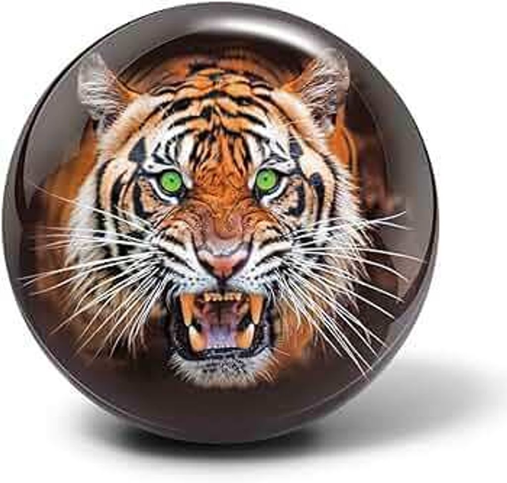 61T6vBCjPnL._AC_UF350,350_QL50_