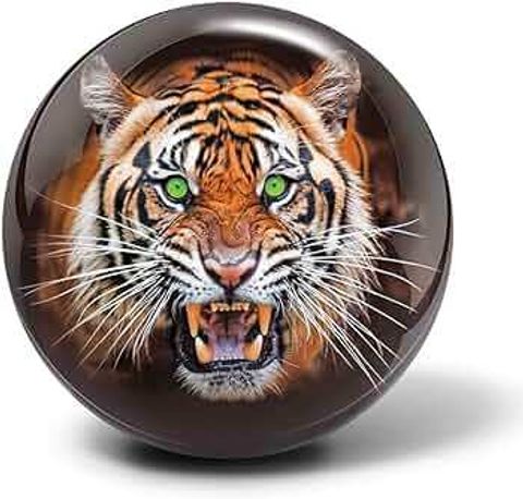 61T6vBCjPnL._AC_UF350,350_QL50_