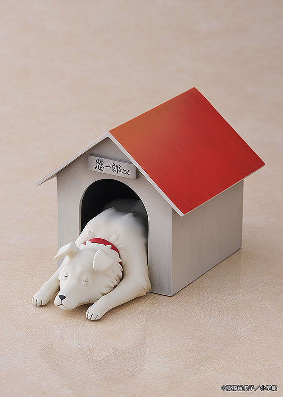 Dog Accessory in Dog House