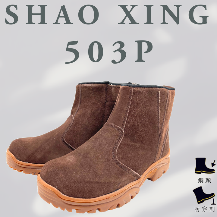 503P封面