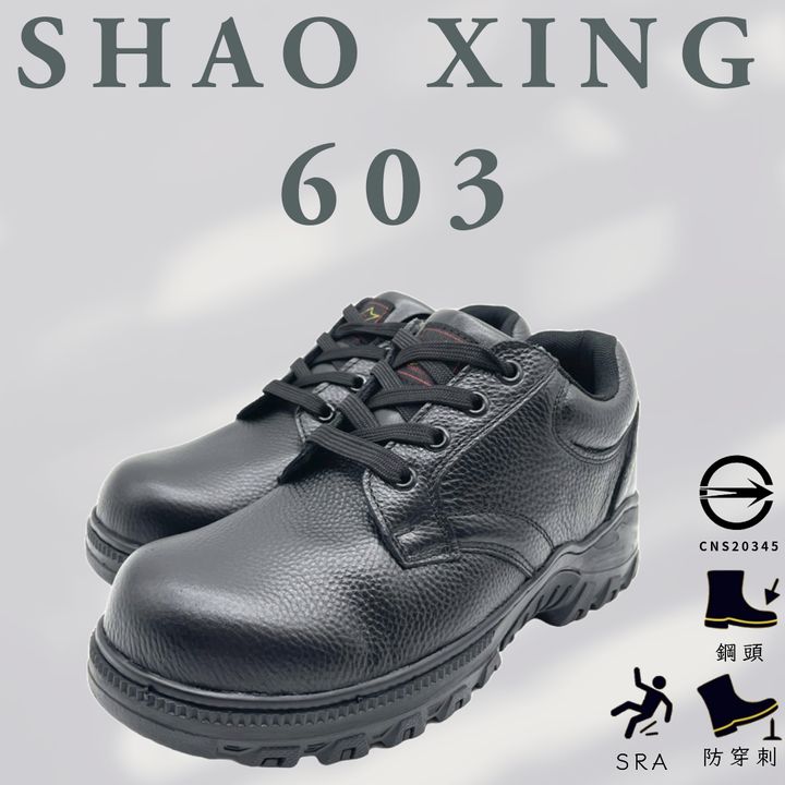 603封面