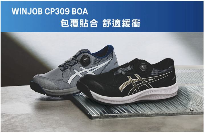 CP309 介紹
