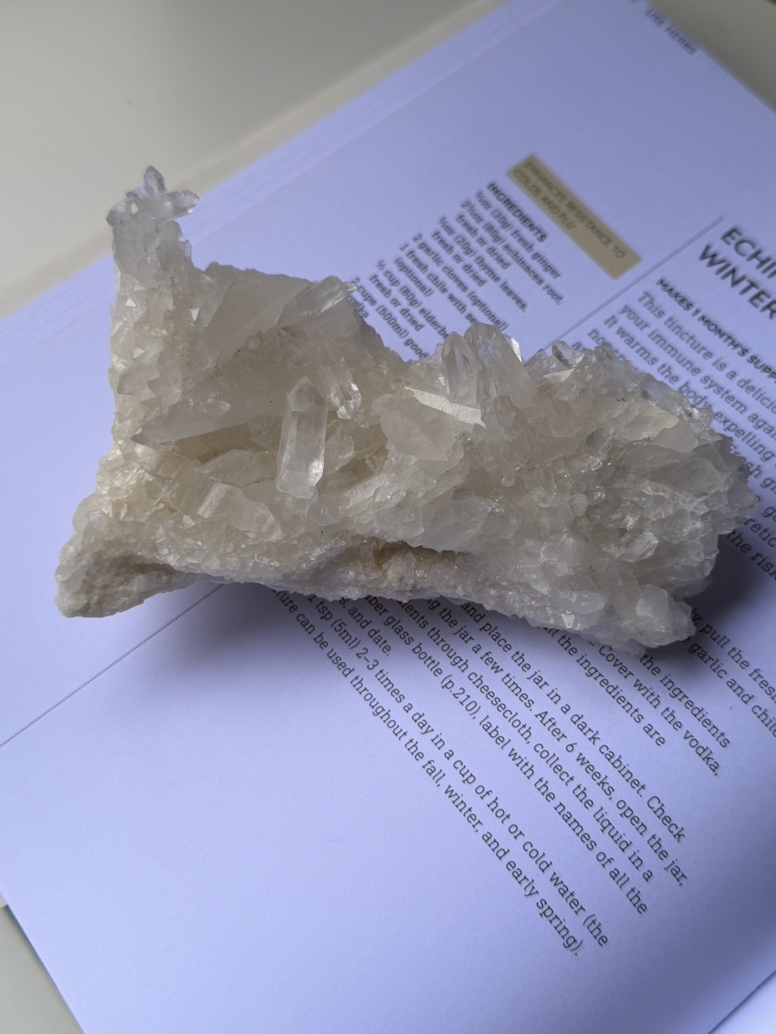 image_862CFD82-7597-47A7-8CBC-2D24A4CAA704_1772166930