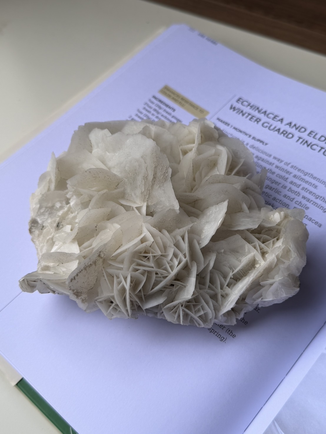 image_1652ED47-0710-4F43-AE9F-1D968C4FC538_1772167028