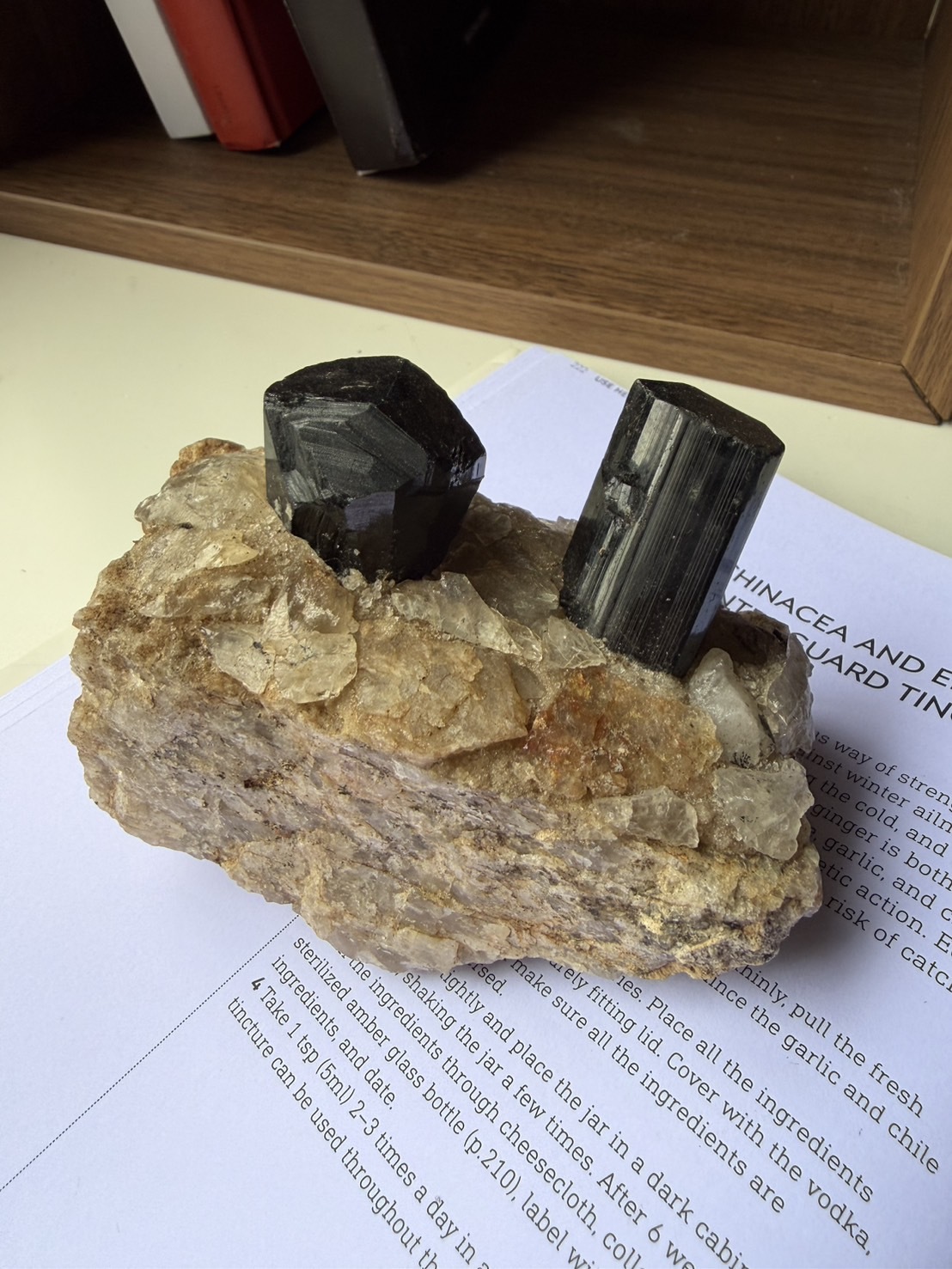 image_65348A22-2F56-4B5C-9342-7A817E311364_1772167090