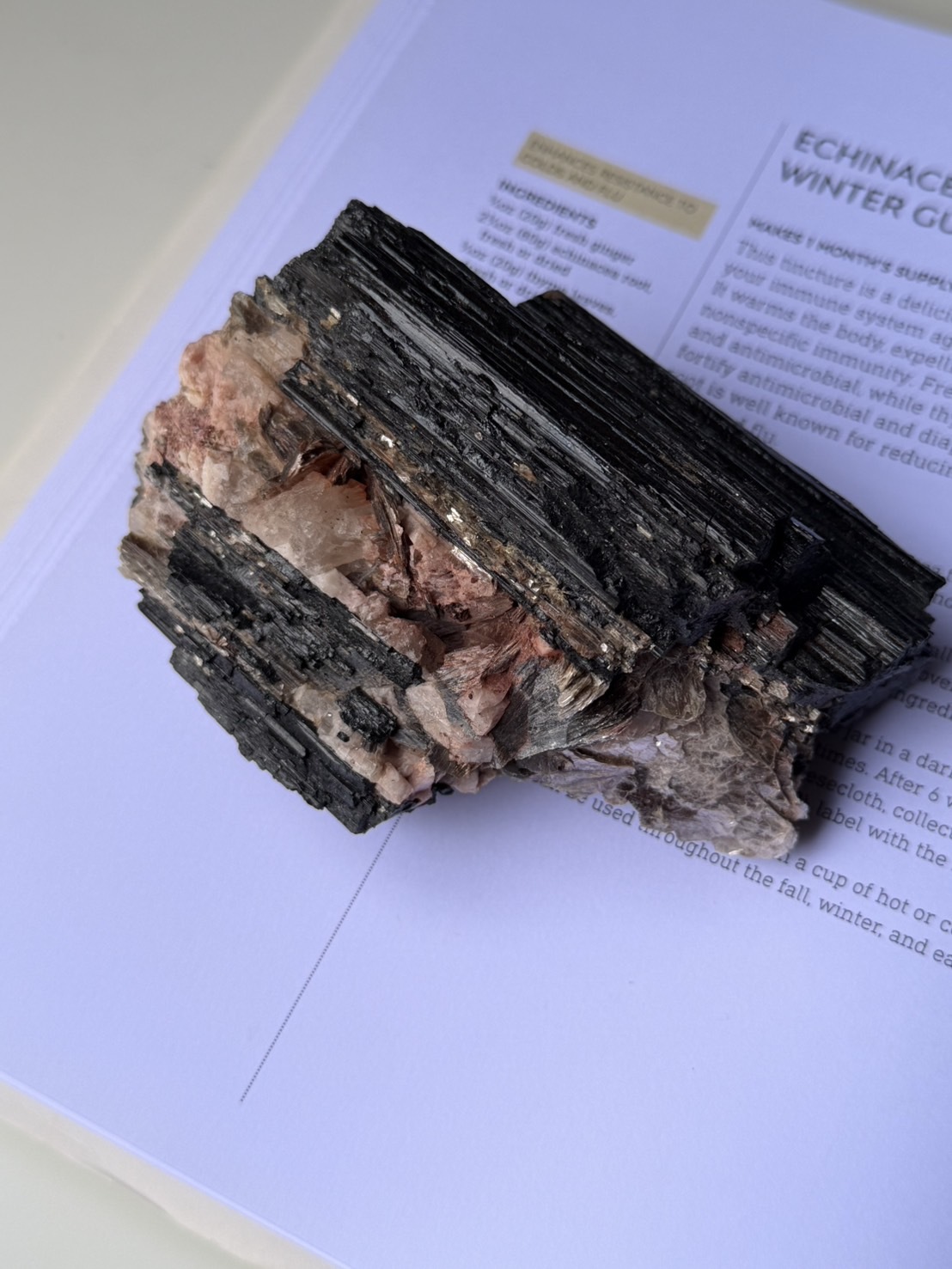 image_2CB654AE-13D3-4CBD-BAD0-11E96A8D88E8_1772167135