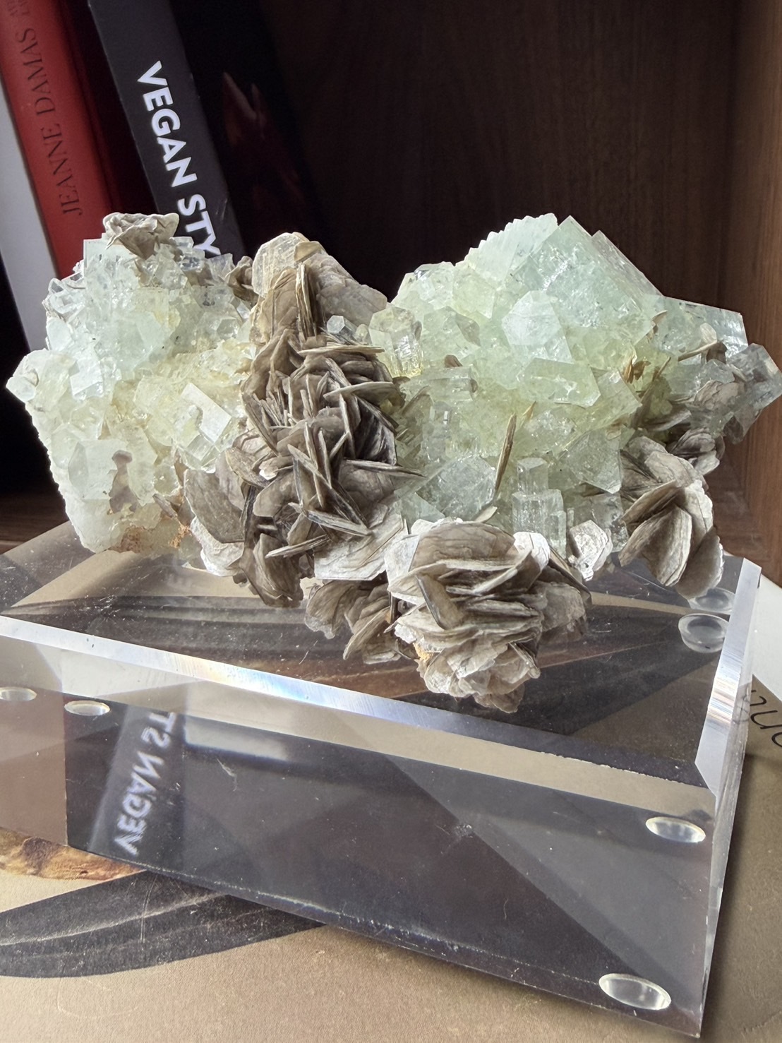 image_FFE2467B-1255-48F3-A367-9B888E38D472_1772167189