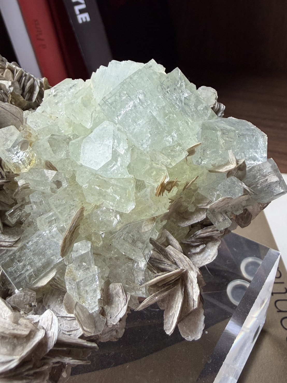 image_D95313B5-A38B-4170-B3FA-5E1E1F2E7459_1772167189