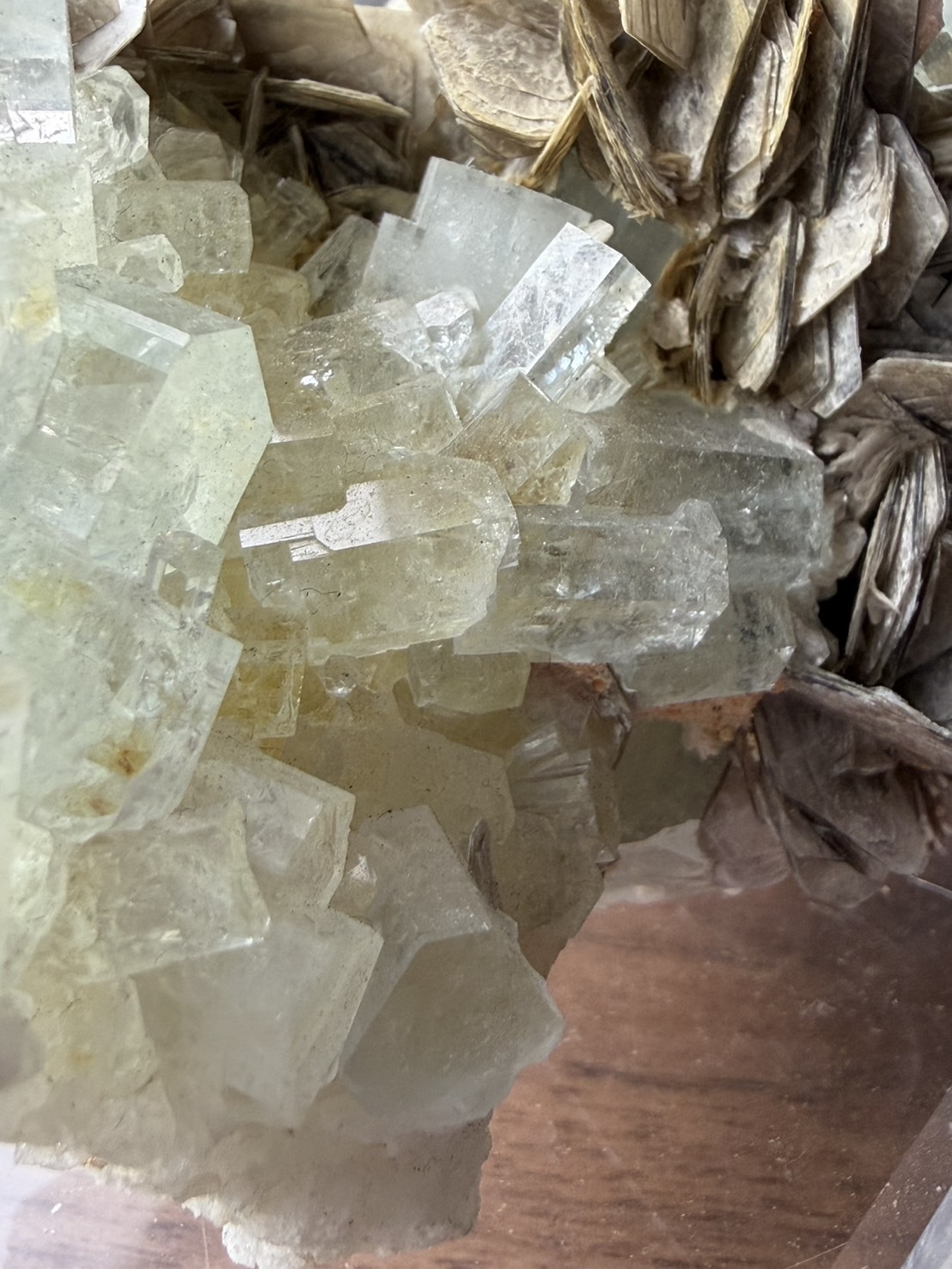 image_6383112D-02BA-40CB-B025-1891070BB460_1772167189