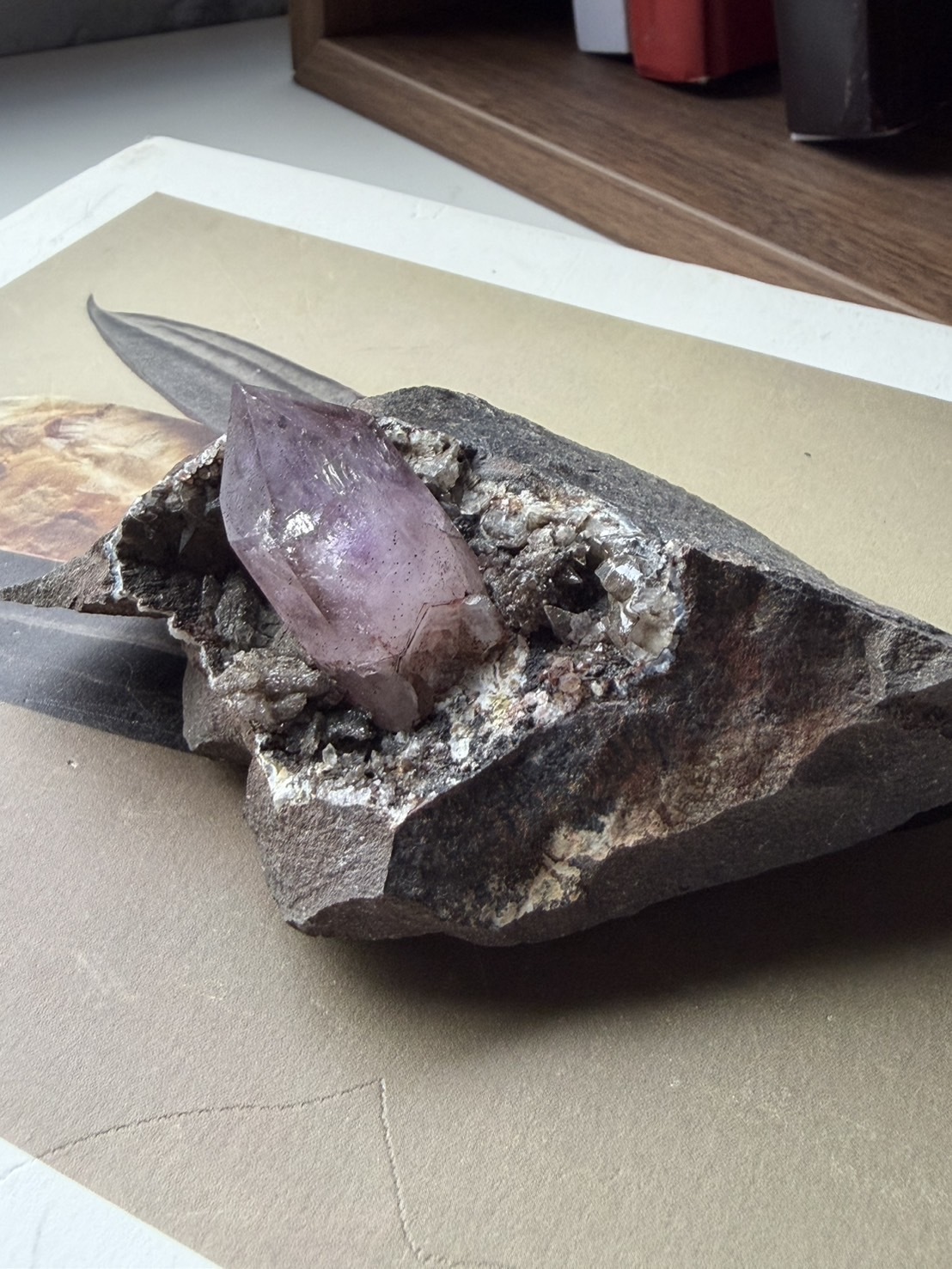 image_20FAC5F6-1749-4CDB-A93A-440CEF124801_1772167274