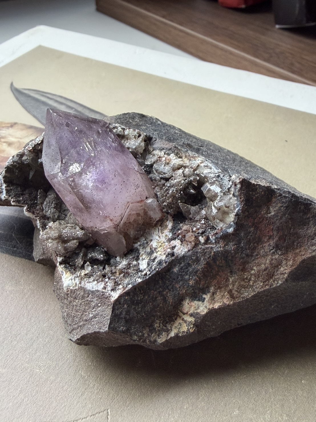 image_B4AB0955-8298-4633-9822-5B5C81185CB7_1772167274