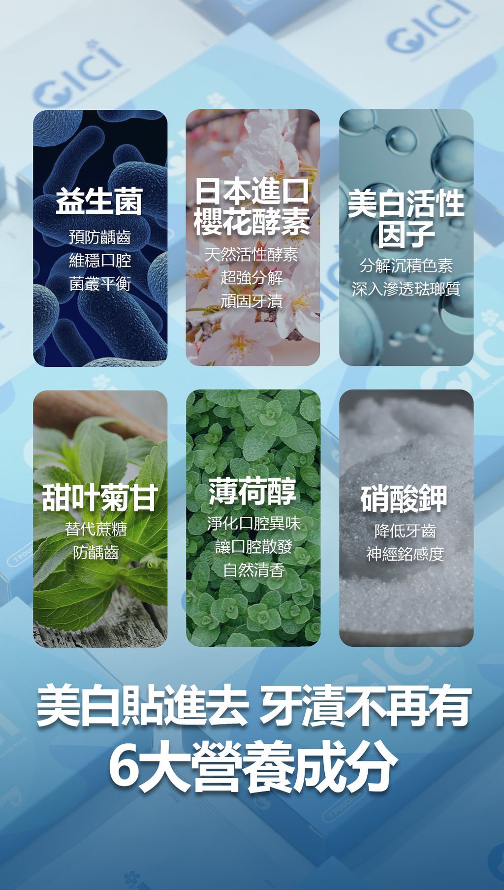 CICI牙贴PPT（mobile中文）4-1718522511780