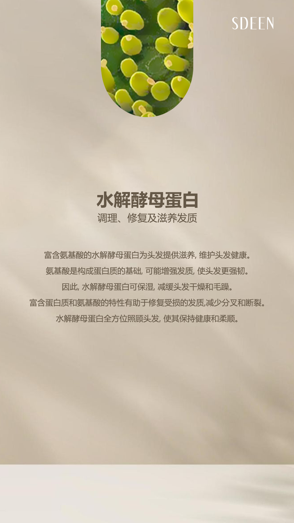 image_BEBF70E1-F1DE-4514-B387-FD66AEF05F22_1759209084