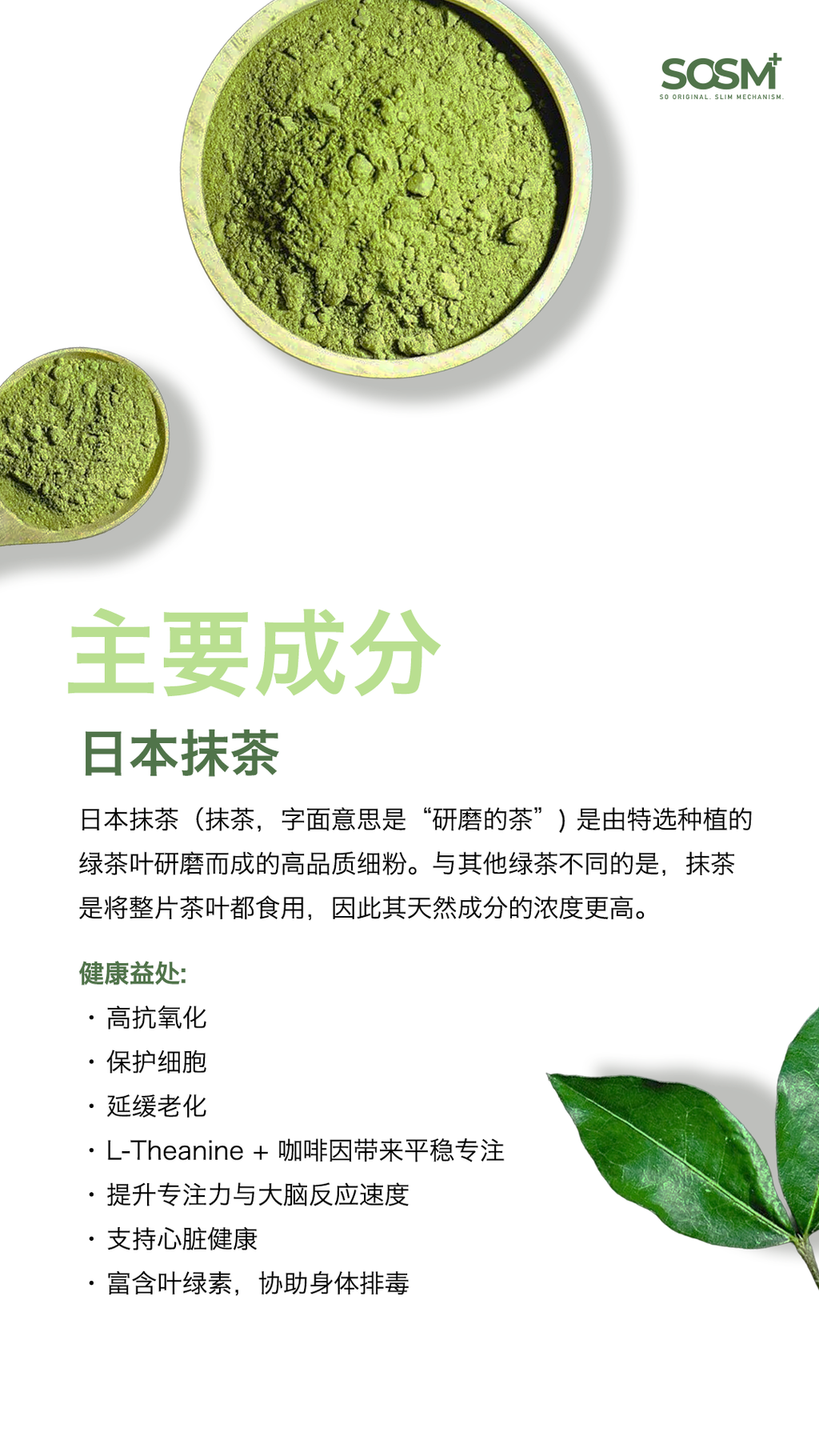 image_9C255A43-1F67-467E-8276-48B86F180A66_1770448499