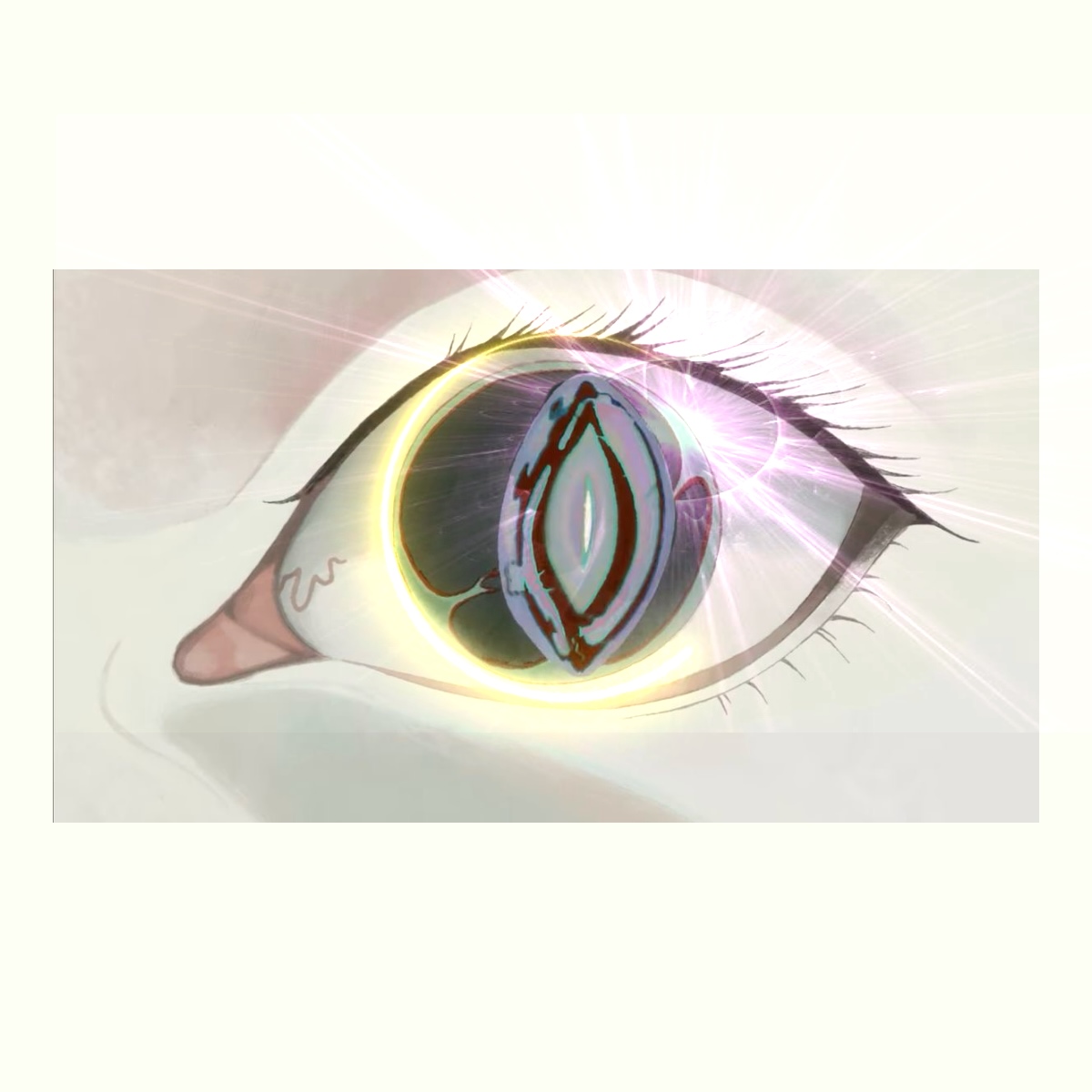 https://cdn.store-assets.com/s/1339618/f/17103713.jpeg