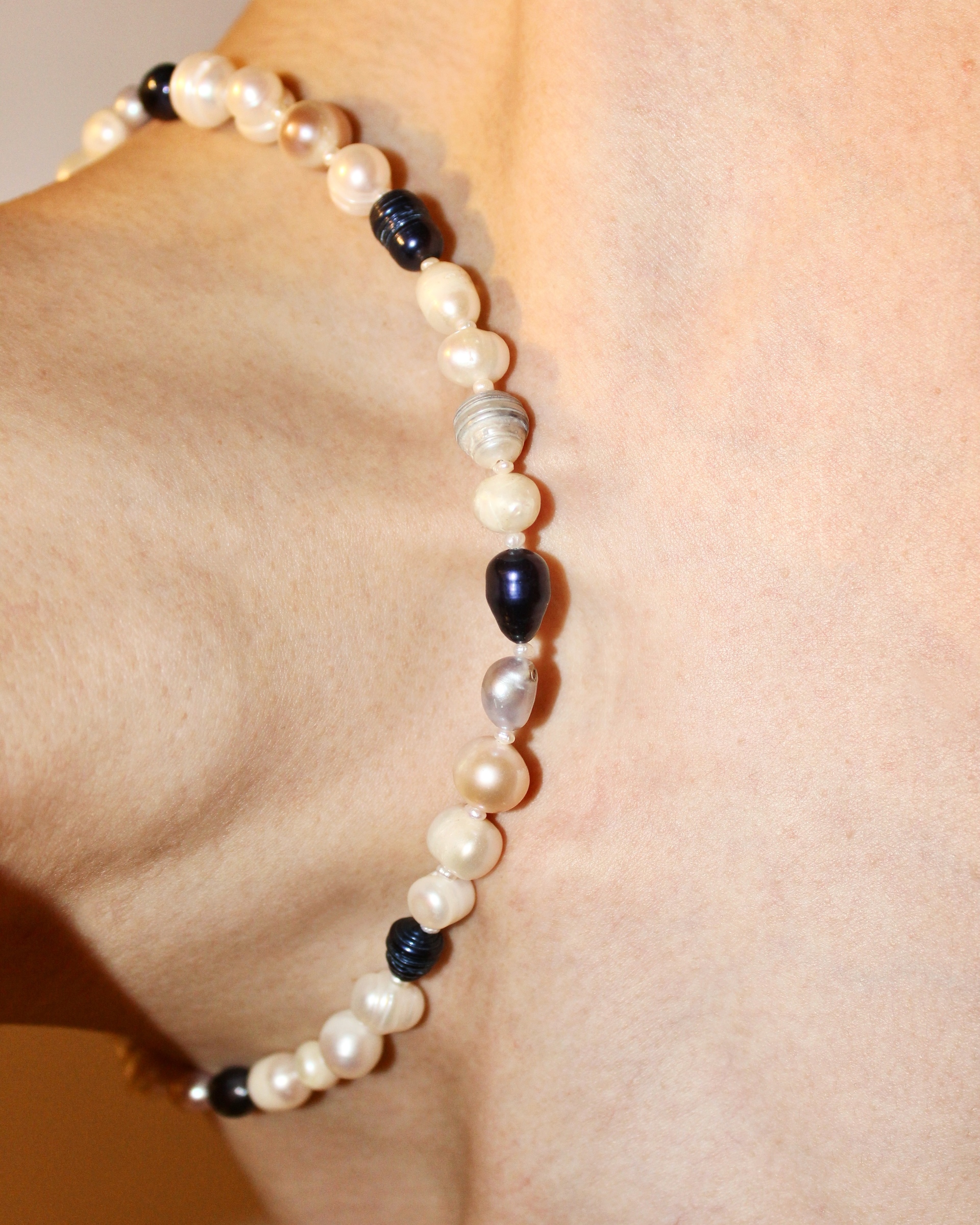 image_0E0C4F34-7084-4AE6-8535-26B489C92FFD_1775813366