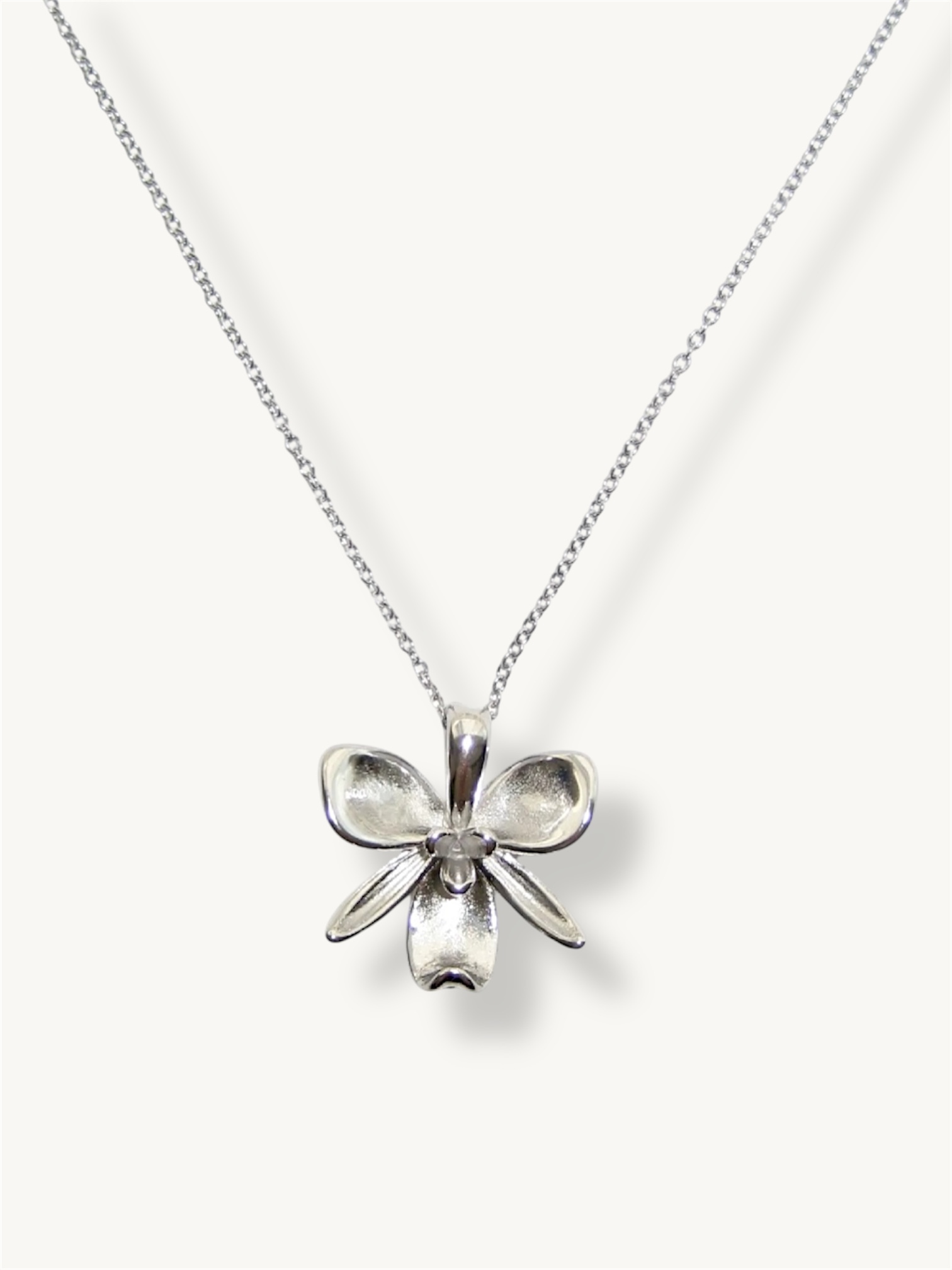 image_A1BB2863-0B82-4CC1-96D5-F309F203B202_1765931768