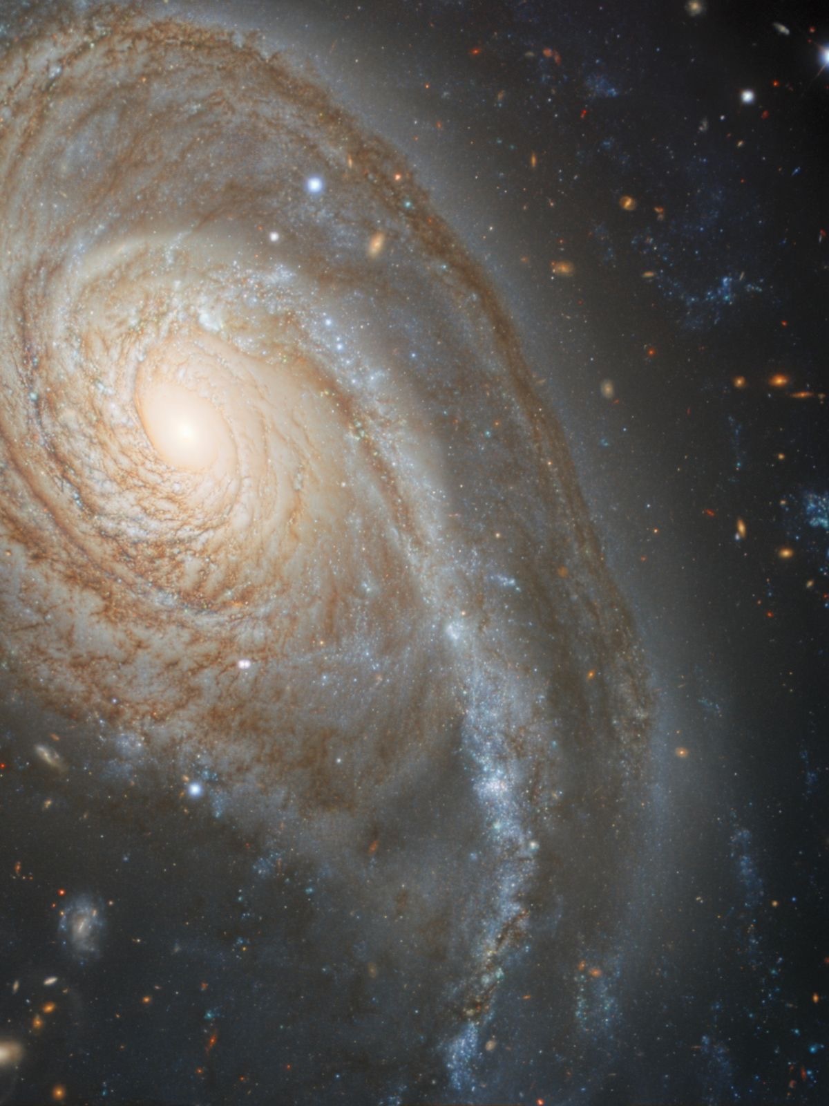 image_B4D6D634-FCE5-4748-A64D-F0CA9F2C1F6E_1766495760